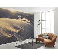 Vardagsrum med fototapet öken, fåtölj, soffa och golvlampa