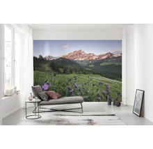 Vardagsrum med fototapet med bergslandskap och blomsteräng