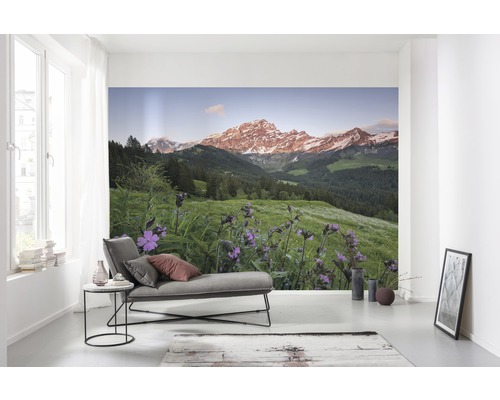Vardagsrum med fototapet med bergslandskap och blomsteräng