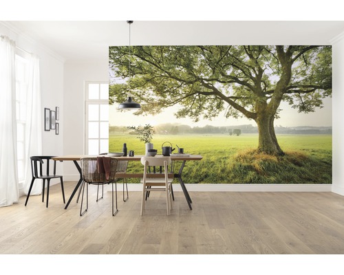 Vardagsrum med fototapet som visar ett träd på en grön äng.