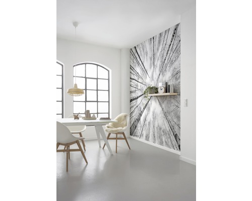 Ljus matplats med matbord, stolar och en fototapet med trädtoppsmotiv