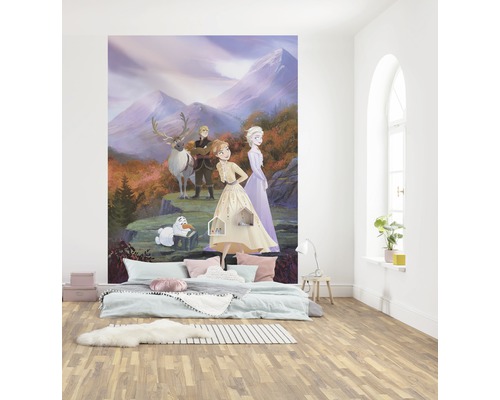 Rum med fotovägg med motivet Frost