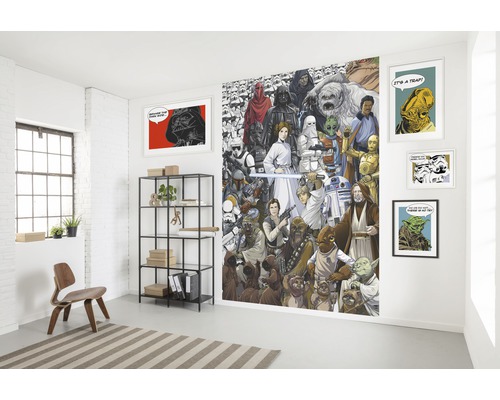 Rum med Star Wars väggmålning, hyllor och dekorativa föremål