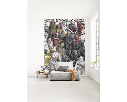 Vardagsrum med Star Wars fototapet och grå soffa