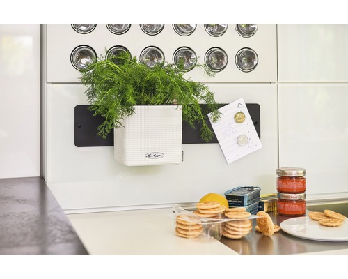 Kök med örtkruka, anteckningsblock, matvaror och Lechuza logotyp