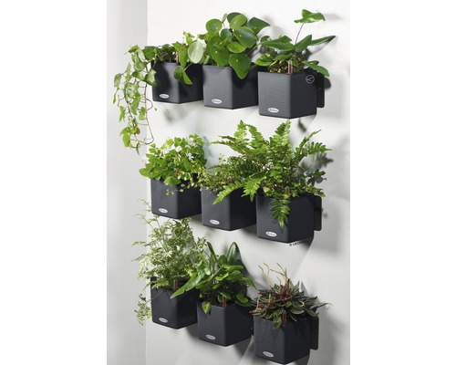 Vägg med modulära planteringskärl med olika krukväxter