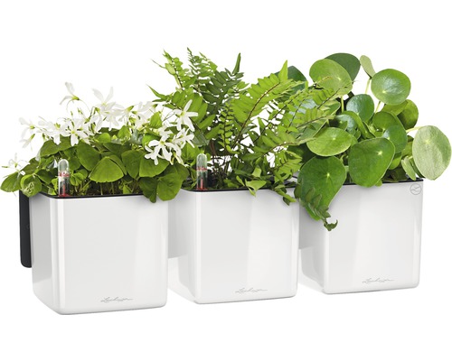 Tre vita planteringskärl med olika växter och bevattningsindikatorer