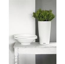 Självvattnande blomkruka LECHUZA Cilindro Color plast Ø23x41cm vit inkl. substrat