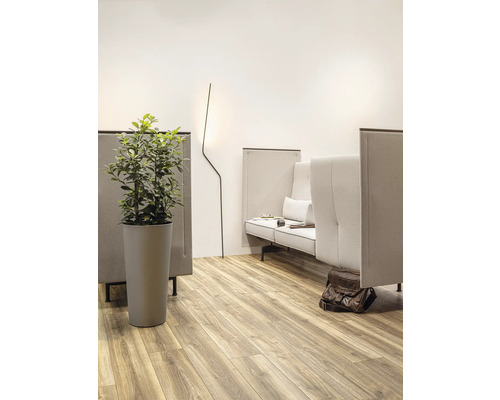 Miljöbild med sittgrupp, golvlampa och krukväxt på trägolv