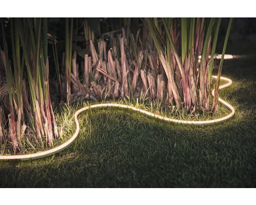 Dekorativ LED-ljusslinga i trädgården mellan växter