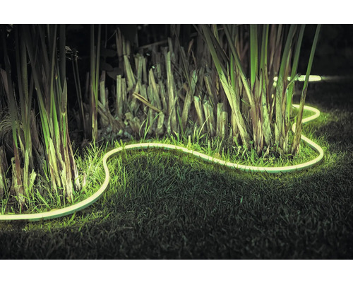 Belyst LED ljusslang i trädgården mellan växter