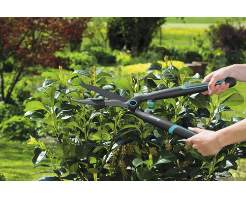 Trädgårdssax används för att klippa en häck