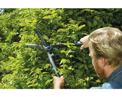 En person klipper en häck med en häcksax.