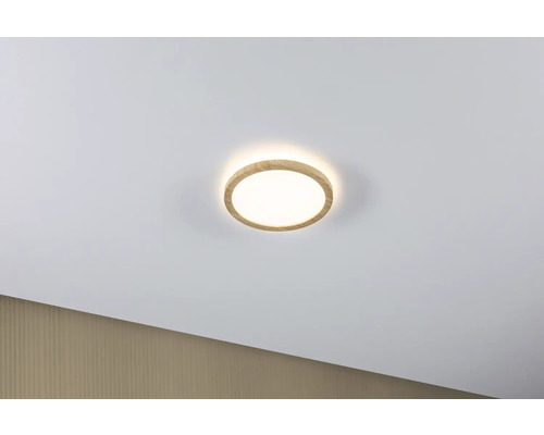 Plafond PAULMANN LED Atria Shine19cm ekfärg