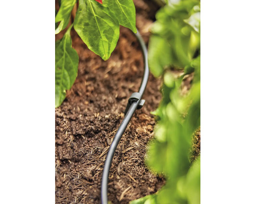 Bevattningsslang med markspett i trädgårdsrabatt för växtbevattning