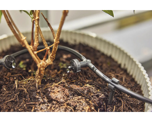 Droppbevattningssystem för växter i kruka