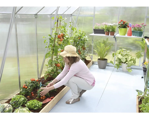 Kvinna i växthus som tar hand om tomatplantor och sallad. I bakgrunden finns växter på en hylla.