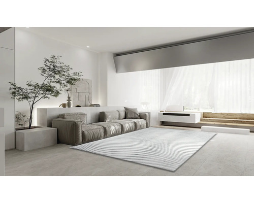 Vardagsrum med soffa, matta och krukväxt