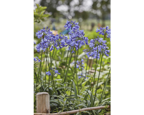 Qora yigit ozining ulkan sikini ichkariga soldi Televizorda erotik korsatuvlar