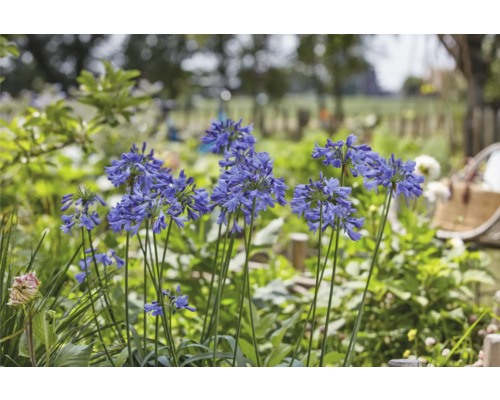 Chubby qizlar sorish Dick rasmlar Haqida ahmoq porno