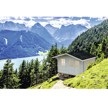 Friggebod PALMAKO Emma 10,4m² inkl. golv 360x300cm natur