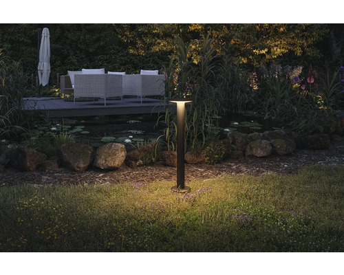 Trädgårdslampa lyser upp gräsmattan i skymningen.
