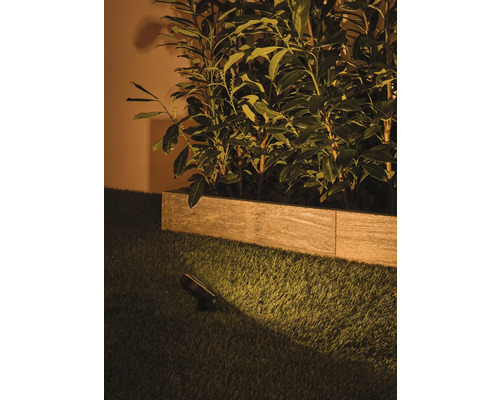 Trädgårdsbelysning lyser upp växter i en rabatt