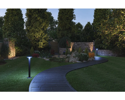 Belyst trädgård med gångväg och pollare