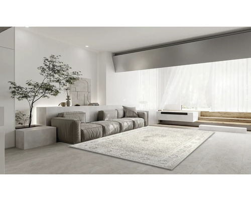 Ljust vardagsrum med mönstrad matta, soffa och krukväxt