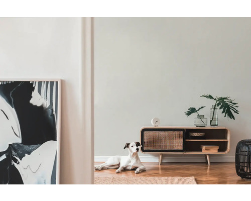 Vardagsrum med byrå, dekoration och hund