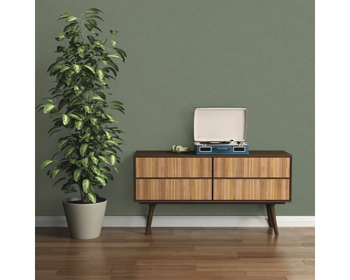 Vardagsrum med krukväxt, skivspelare och byrå