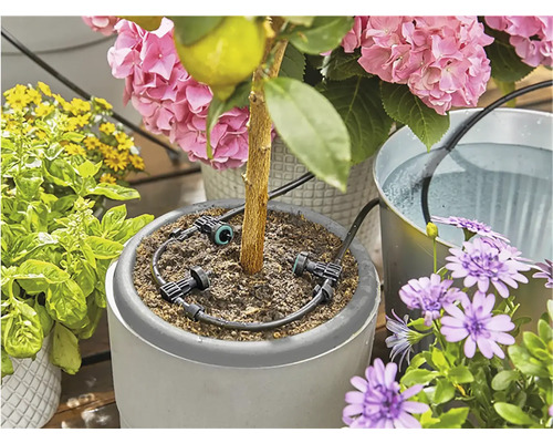 Blombevattningssystem med krukväxter och vattenbehållare