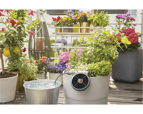 Scenbild av en balkong med olika växter och ett bevattningssystem