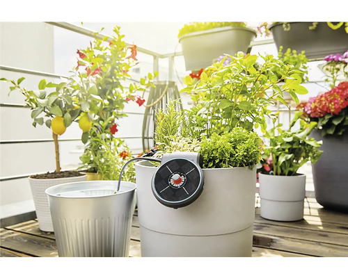 Balkongscen med växter i krukor och solenergidriven bevattning