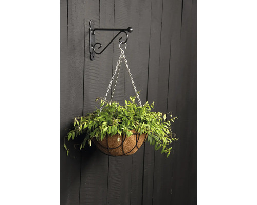 Hängande blomkorg med växt, fastsatt på ett väggfäste