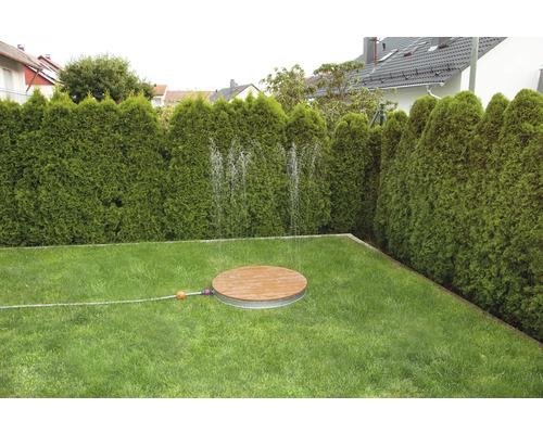 Trädgård med gräsmatta och bevattningssystem