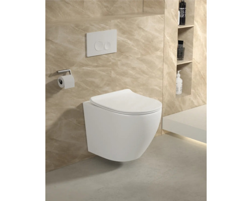 Vägghängd toalett i badrum med manöverpanel och toalettpappershållare