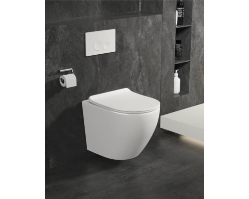 Modernt badrum med vägghängd toalett, tryckplatta och toalettpappershållare