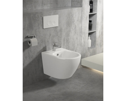 Vägghängd bidé med armatur, spolknapp och toalettpappershållare i ett badrum.