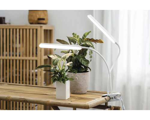 LED-växtlampa med växter på ett bord