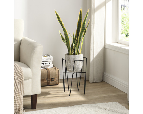 Rum med fåtölj, växt i kruka på ett växtställ och dekorativa föremål.