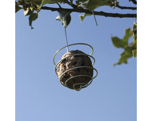 Fågelmatboll i spiralhållare för upphängning på en gren.