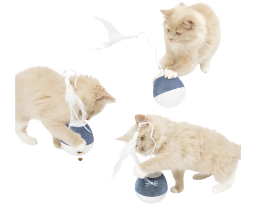 Katt leker med interaktiv foderboll med fjädervippa