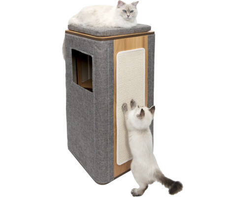 Klösträd med två katter