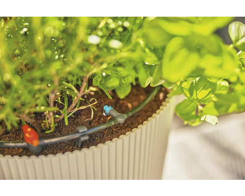 Bevattningssystem i blomlåda med örter