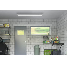 Garage med hyllor, dörr, fönster och taklampa.