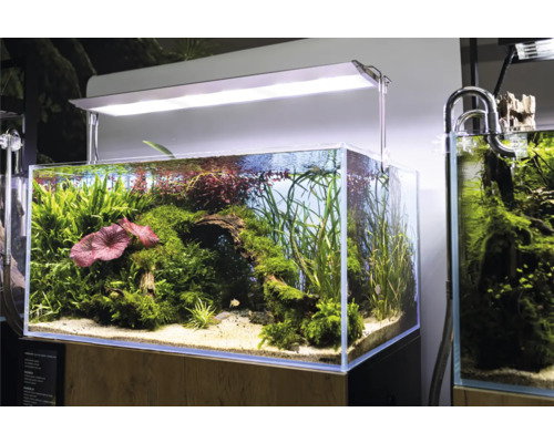 Akvarium AQUAEL UltraScape 90 LED-belysning Ultra Slim 90 ca 243L ca 90x60x45cm OPTI-glas