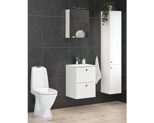 Badrum med toalett, tvättställ, spegelskåp och högskåp