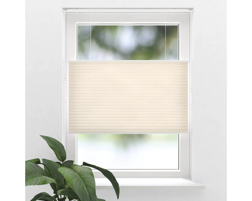 Fönster med plisségardin för skuggning