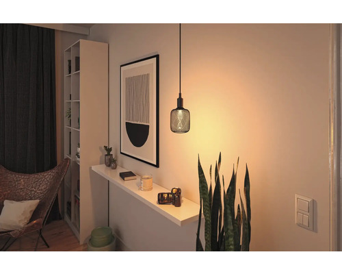 Interiör med hänglampa, hylla, dekoration och krukväxt